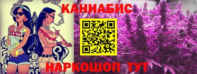 хмурый Сланцы