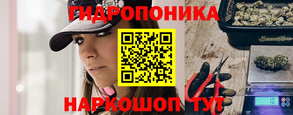 Конопля конопля  Бошки марихуана планчик  Петропавловск-Камчатский  Вход с VPN  Канабис план 